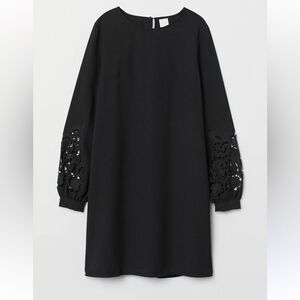 H&M Lace Appliqué Sleeves Dress